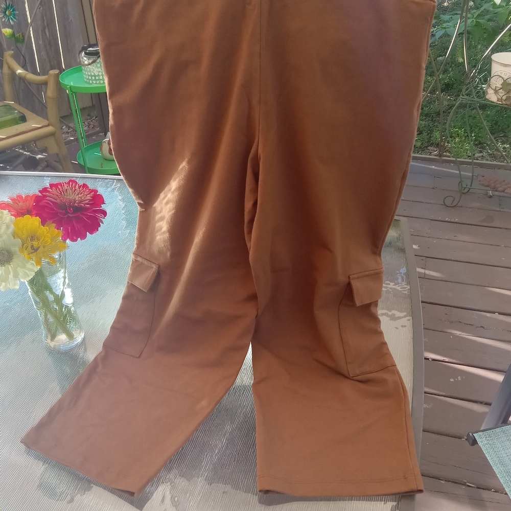 NWOT Wicked by Women with Control Petite Cropped Cargo Pants, PM - Picture 3 of 4